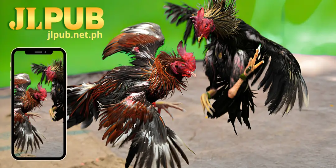 image Sabong jlpub